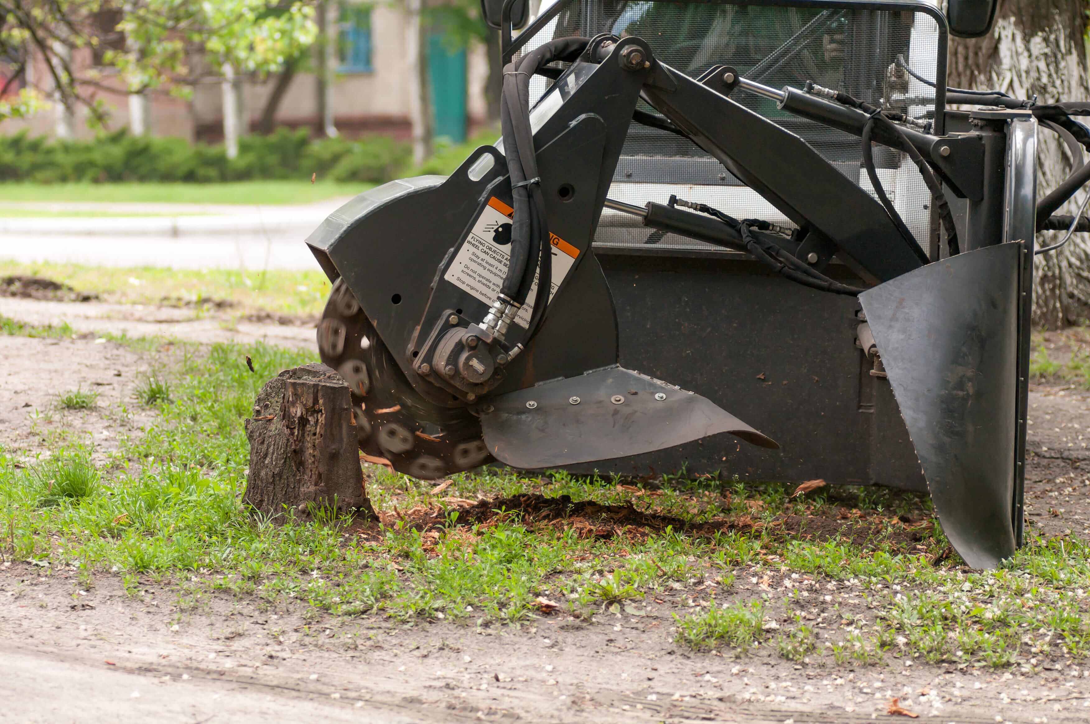 A stump removal machine being used in Cairns